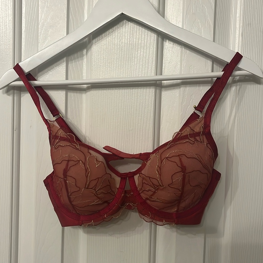 NWT lace plunge bra